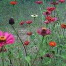 하늘내린황토민박 이미지