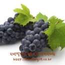 이승헌한의원 이미지