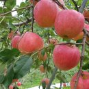 지인농장2 이미지