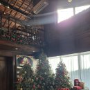 구옥주택 | 인천 감성카페 추천 분위기 좋은 구옥카페 거북주택 솔직후기