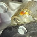 금산점 현대자동차 이미지