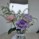 You 행정사사무소 이미지