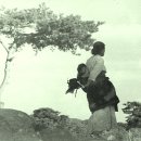 꼬두메