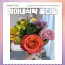 불로초교 | 꽃정기구독도 가능한 정아네식탁 꽃배송 후기