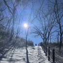 GS25안산장수점 | 블랙야크 100대 명산 장수 장안산 무룡고개 코스 눈꽃산행 (Feat. 영취산 1일 2산)_2025.12.05