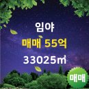 부동산타운공인중개사사무소 이미지