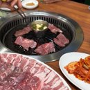 청오돼지들의세상