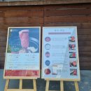 이곡사거리 | 쿠우쿠우 대구 서구점 샤브 20 이곡점 내돈내산 후기