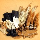 샬롬한의원 | 10Kg 쏙 빼준다는 다이어트 한약 효과와 주요 성분 및 가격을 알아보자