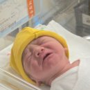 집밥 전선생 이미지