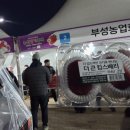 취암동 시민운동장 | 2026년 논산딸기축제 다녀온 후기