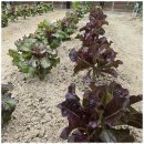 포근한방문요양센터 이미지