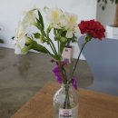 섬진강한의원 이미지