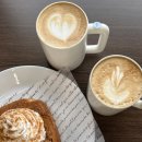 둔배미 | 의정부 신곡동 신상 둔배미 카페 솔직 후기｜장암동