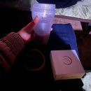 달빛누리 | 창덕궁 달빛기행 야간개장 후기