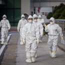 (주)더세이폴 이미지