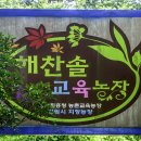 해찬솔 이미지