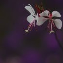 지산체육공원 Daum카페