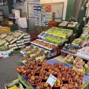 이레청과 이미지