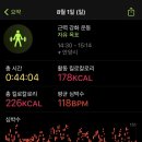 박가네숯불껍데기 - 안양시 동안구 관평로305번길 63 | 박가네숯불껍데기