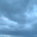 다시초록섬 이미지