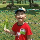 석천목장 이미지