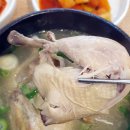 닭날선보는날