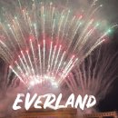 에버사이트코리아(유) | 에버랜드 셔틀버스 이용후기 | 예약 가격 비교 및 시간 노선 정보