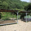고향펜션캠핑 | [경상북도 봉화군] 고향펜션캠핑