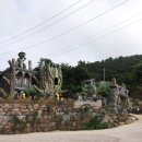 동백쉐이리 이미지