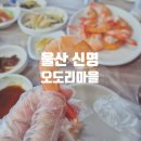 신명오도리마을 이미지