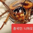 중국은 절대 가지마라.fact 이미지