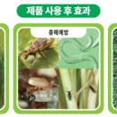 씨엠씨