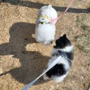 대동생태체육공원 화장실 1 | 2월 1일에서 8일까지(오륙도, 강서체육공원, 사상근린정원, 대동 체육공원, 황령산)