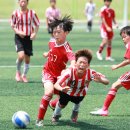 충주중앙초등학교 이미지