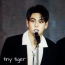 티존
