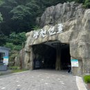 광천목장 | 평창 가볼만한곳 여름 피서지 광천선굴 | 꿀팁 4가지 공유