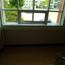 봉래초등학교 이미지