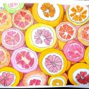 펜 드로잉(중급반) 이미지