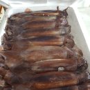 서망항1 이미지