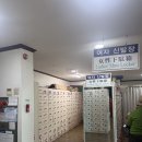 숲속애견랜드 | 서울 찜질방 숲속한방랜드 후기｜서울 도심 속 숯가마 찜질방🔥 건물 사이 피어난 숯가마