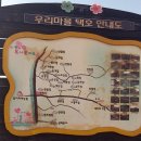 주문진초등학교삼덕분교장 | 장덕리 은행나무와 삼덕분교 그리고 최선평가옥 - 복사꽃이 필때쯤 오면 더 예쁠 곳