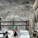 머스트 짐 이미지
