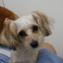 해동물병원 이미지