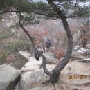 등산로(상) 이미지