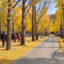 소금랜드 이미지