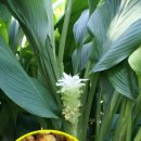 구름호수마을(운호마을) 이미지