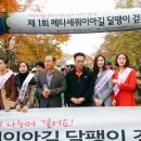 협동조합가족사랑나라사랑 헤럴드경제