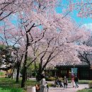 계명공원 이미지