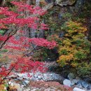 폭포가든 이미지